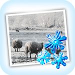 JixiPix Snow Daze
