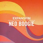 Native Instruments Expansion Neo Boogie