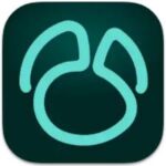 Navicat for SQLite