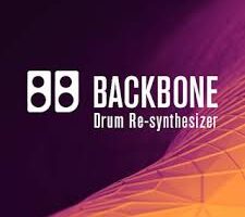 Steinberg Backbone