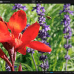 Topaz Photo Pro