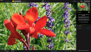 Topaz Photo Pro