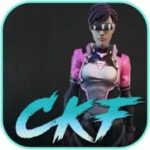 Cyber Knights Flashpoint
