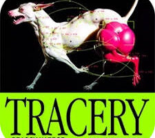 Aescripts - Tracery